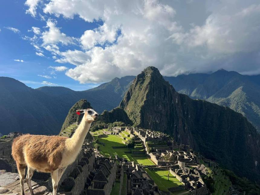 Boking policies and conditions